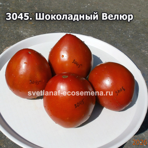 Шоколадный Велюр