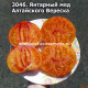 Янтарный мед Алтайского Вереска