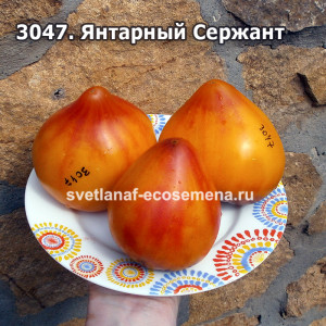 Янтарный Сержант