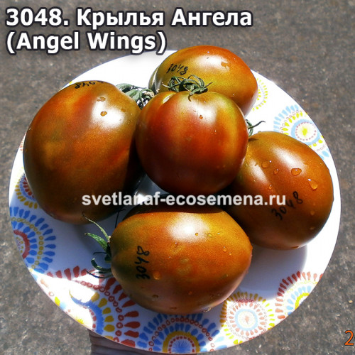 Крылья Ангела (Angel Wings)