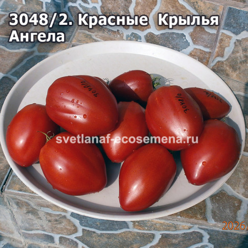 Красные  Крылья  Ангела  (Red Angel Wings)