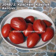 Красные  Крылья  Ангела  (Red Angel Wings)