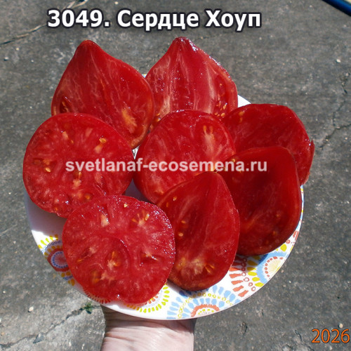 Сердце Хоуп (Hope's Heart)