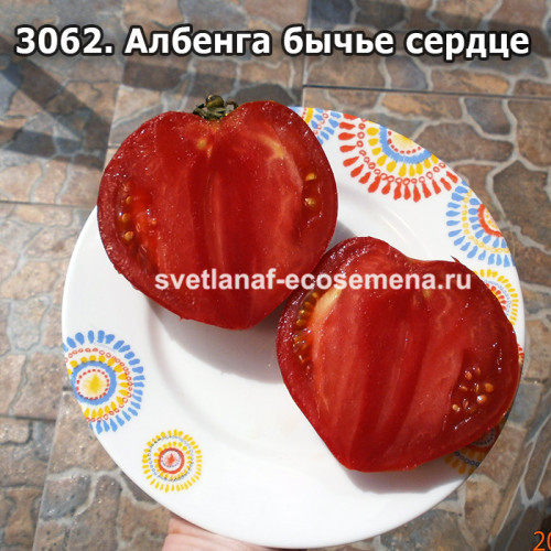 Албенга бычье сердце ( Albenga Oxheart)