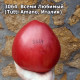 Всеми Любимый (Tutti Amano)