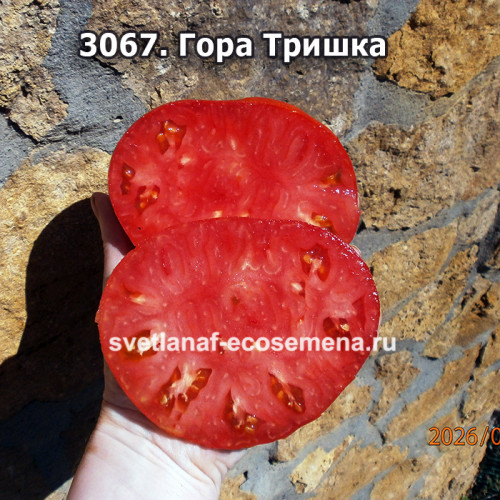 Гора Тришка (Trška Gora)