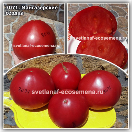 Мангазерские сердца
