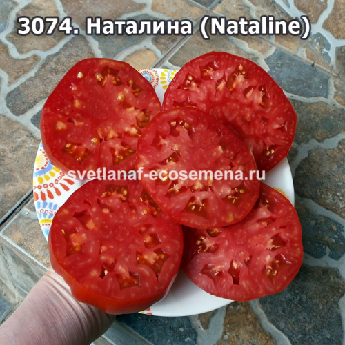 Наталина (Nataline)