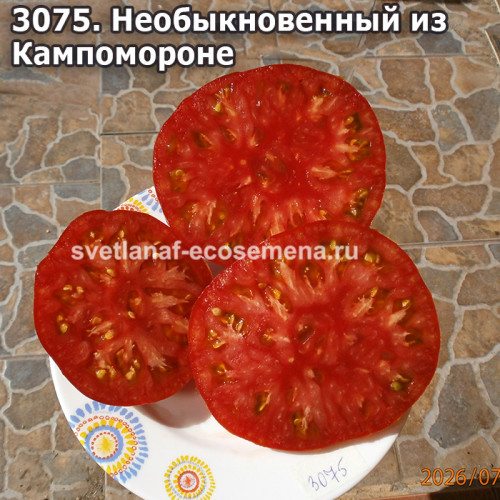 Необыкновенный из Кампомороне (Strano Di Campomorone)