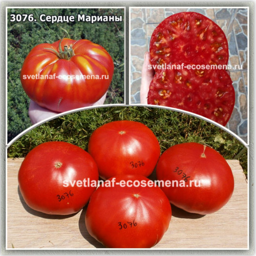 Сердце Марианы (Marianas Heart)