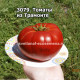 Томаты из Трамонте (Pomodoro di Tramonte)