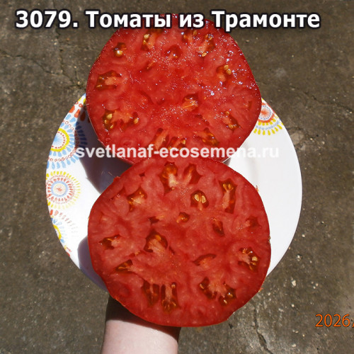 Томаты из Трамонте (Pomodoro di Tramonte)