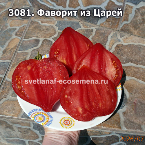 Фаворит из Царей