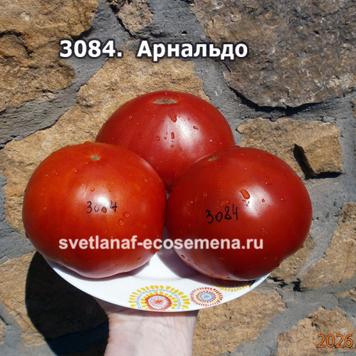Arnaldo ( Арнальдо)