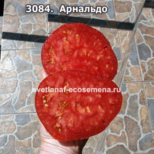 Arnaldo ( Арнальдо)