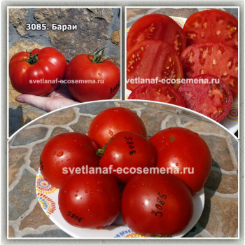 Barai (Бараи)