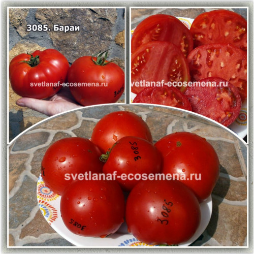 Barai (Бараи)