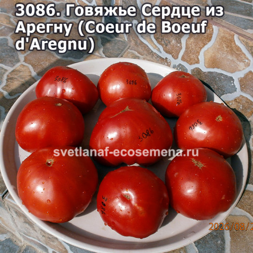 Говяжье Сердце из Арегну (Coeur de Boeuf d'Aregnu)