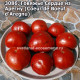 Говяжье Сердце из Арегну (Coeur de Boeuf d'Aregnu)