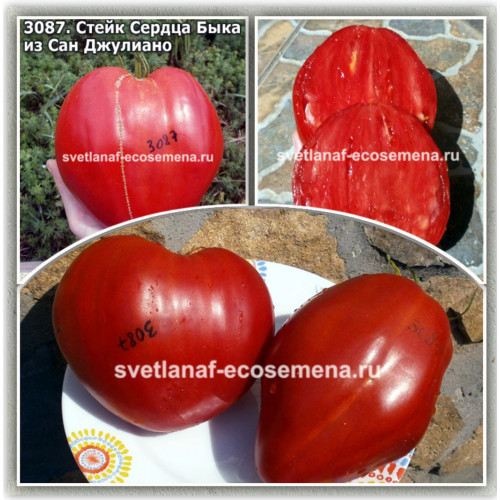 Стейк Сердца Быка из Сан Джулиано (Cuore di Bue Bistecca San Giuliano)