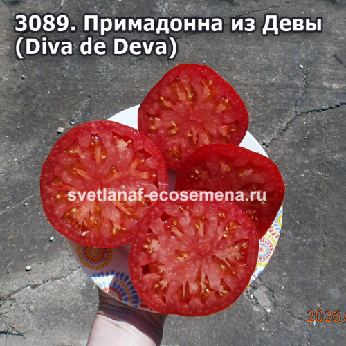 Примадонна из Девы (Diva de Deva)
