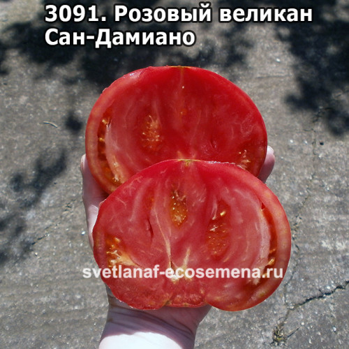 Розовый великан Сан-Дамиано (Gigante Rosa di San Damiano Macra)