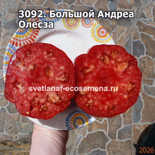 Большой Андреа Олесза (Grosso di Andrea Olezza)