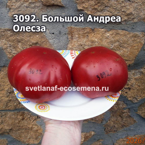 Большой Андреа Олесза (Grosso di Andrea Olezza)