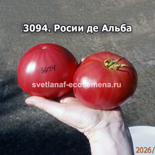 Росии де Альба (Rosii de Alba)