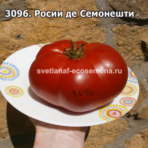 Росии де Семонешти (Rosii de Simionesti)