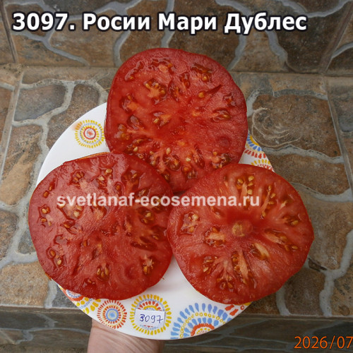 Росии Мари Дублес (Rosii Mari Dubles)