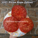 Росии Мари Дублес (Rosii Mari Dubles)
