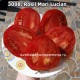 Роси Мари Лукиан» (Rosii Mari Lucian)
