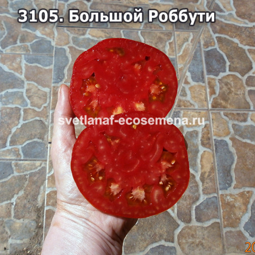 Большой Робутти (Robutti Grosso)