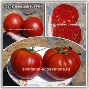 Большой Робутти (Robutti Grosso)