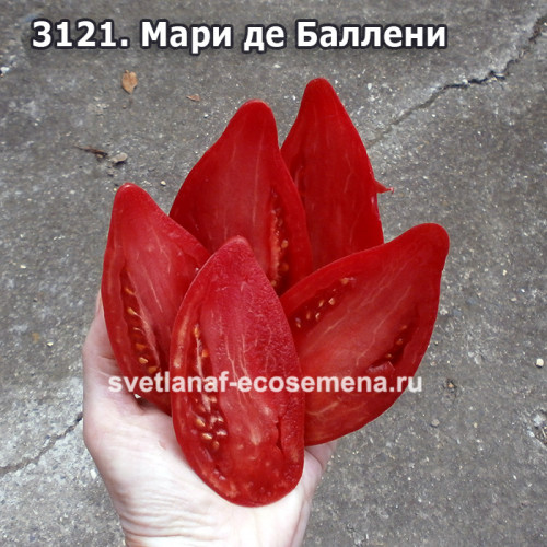 Мари де Балени (Mary de Baleni)