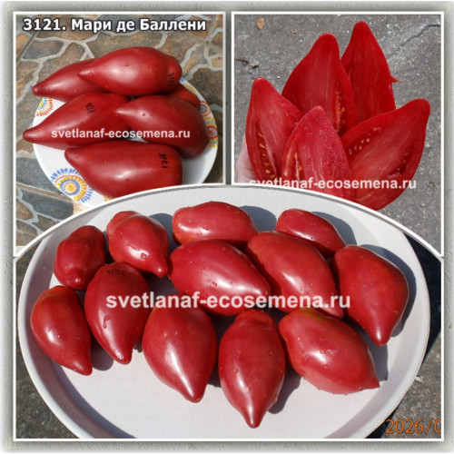 Мари де Балени (Mary de Baleni)