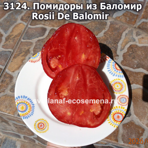 Помидоры из Баломир (Rosii de Balomir)