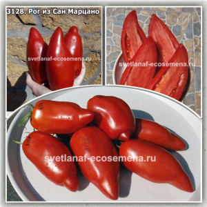 Рог из Сан Марцано (San Marzano Redorta)
