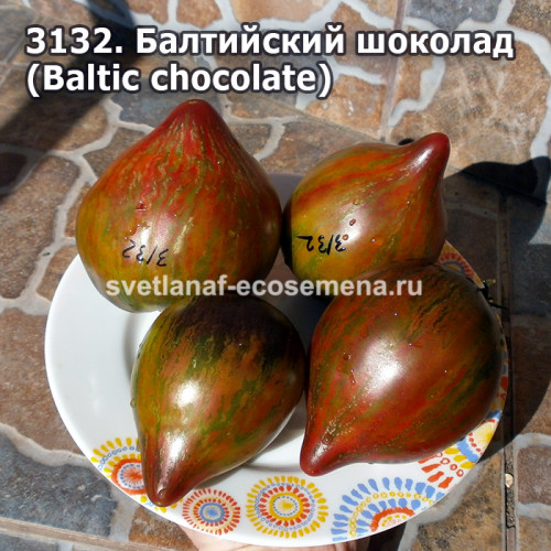 Балтийский шоколад (Baltic chocolate)