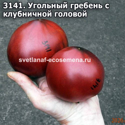 Угольный гребень с клубничной головой (Coal Comb with Strawberry Head)