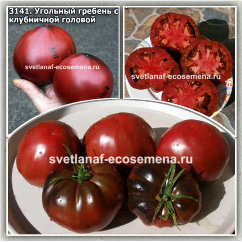 Угольный гребень с клубничной головой (Coal Comb with Strawberry Head)