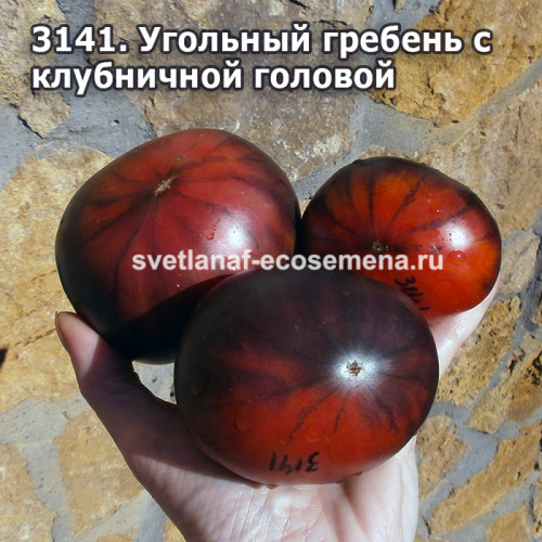 Угольный гребень с клубничной головой (Coal Comb with Strawberry Head)
