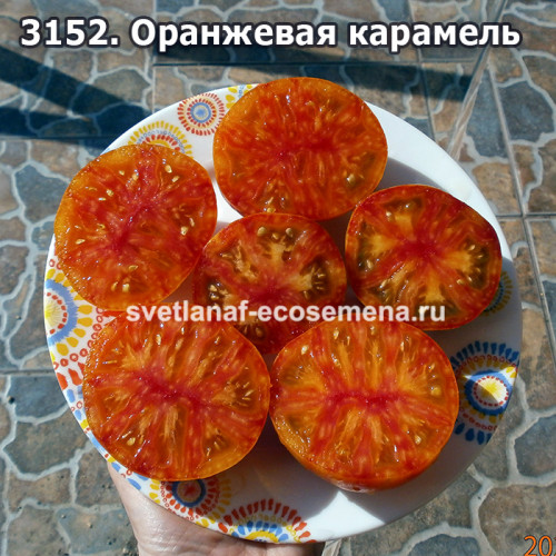 Оранжевая карамель (Orange Caramel)