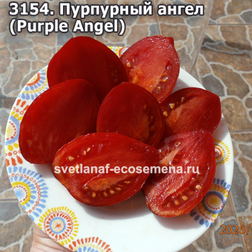 Пурпурный ангел (Purple Angel)