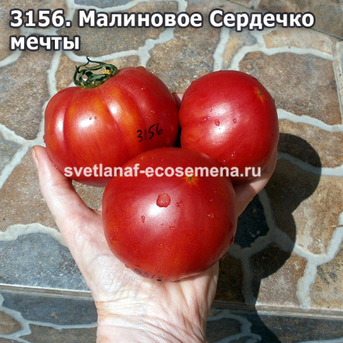 Малиновое Сердечко мечты (Raspberry Dream Heart)