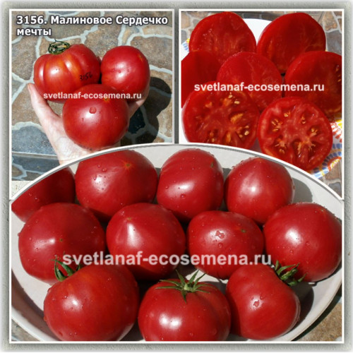 Малиновое Сердечко мечты (Raspberry Dream Heart)