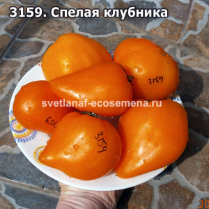 Спелая клубника