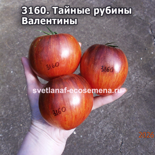 Тайные рубины Валентины (valentine's secret rubies)