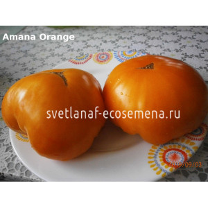 Amana Orange